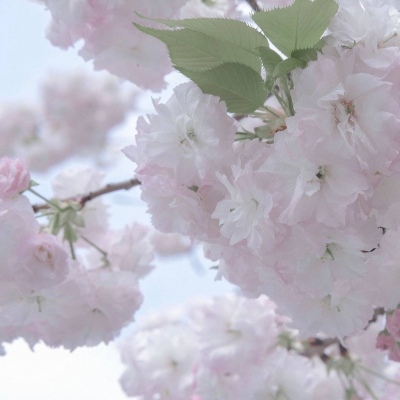 Furry绘画色彩搭配FurryQQ群